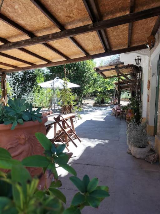 Villa Marcella Casa Vacanza Grottazzolina Eksteriør bilde