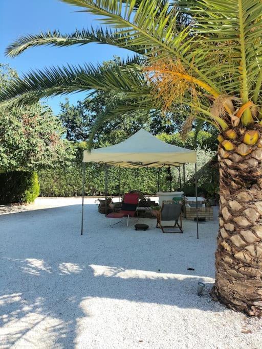 Villa Marcella Casa Vacanza Grottazzolina Eksteriør bilde